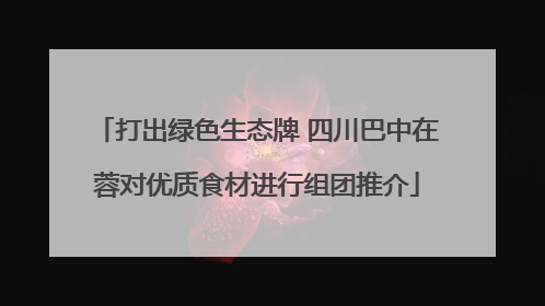 打出绿色生态牌 四川巴中在蓉对优质食材进行组团推介