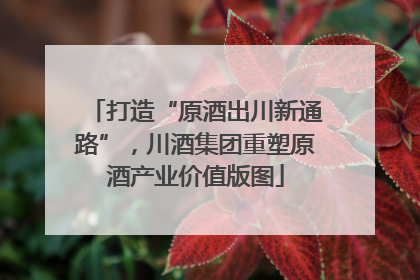 打造“原酒出川新通路”，川酒集团重塑原酒产业价值版图