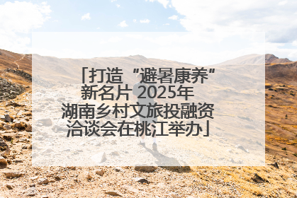 打造“避暑康养”新名片 2025年湖南乡村文旅投融资洽谈会在桃江举办