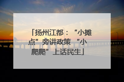 扬州江都：“小摊点”旁讲政策 “小爬爬”上话民生