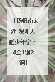 扬帆南太湖 深圳大鹏少年拿下4金1银2铜