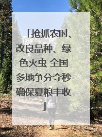 抢抓农时、改良品种、绿色灭虫 全国多地争分夺秒确保夏粮丰收