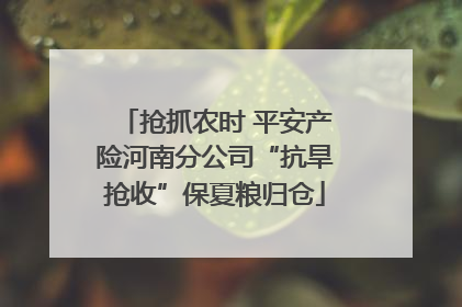 抢抓农时 平安产险河南分公司“抗旱抢收”保夏粮归仓