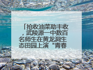抢收油菜助丰收，武陵源一中数百名师生在黄龙洞生态田园上演“青春助农记”
