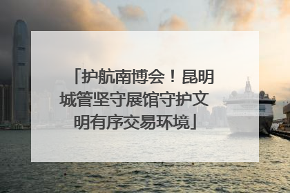 护航南博会！昆明城管坚守展馆守护文明有序交易环境