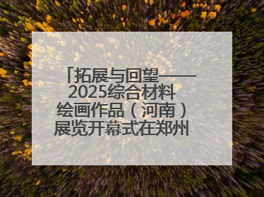拓展与回望——2025综合材料绘画作品（河南）展览开幕式在郑州美术馆举办