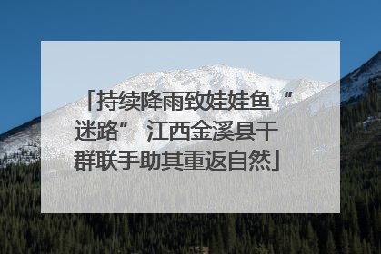 持续降雨致娃娃鱼“迷路” 江西金溪县干群联手助其重返自然