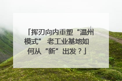 挥刃向内重塑“温州模式” 老工业基地如何从“新”出发？