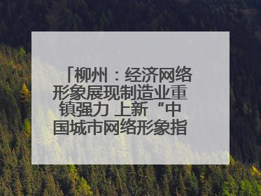 柳州：经济网络形象展现制造业重镇强力 上新“中国城市网络形象指数”报告