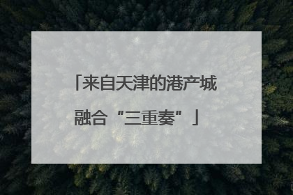 来自天津的港产城融合“三重奏”