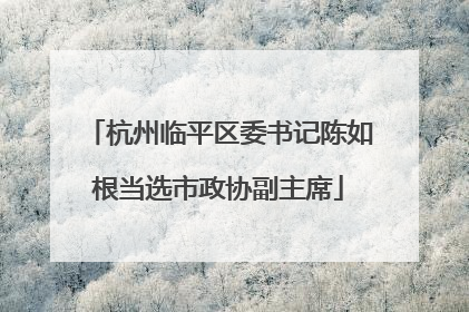杭州临平区委书记陈如根当选市政协副主席