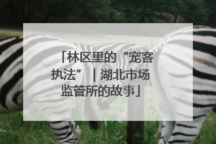 林区里的“宠客执法”｜湖北市场监管所的故事