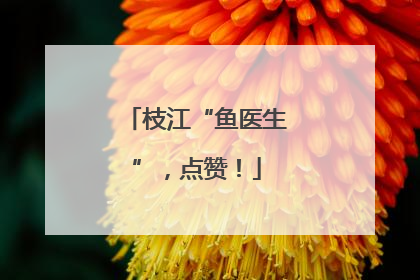 枝江“鱼医生”，点赞！