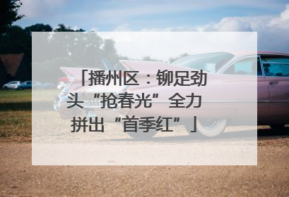 播州区：铆足劲头“抢春光”全力拼出“首季红”