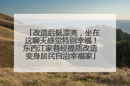 改造后挺漂亮，坐在这聊天感觉特别幸福！东西江家巷经提质改造变身居民自治幸福家
