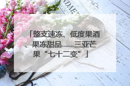整支速冻、低度果酒、果冻甜品……三亚芒果“七十二变”