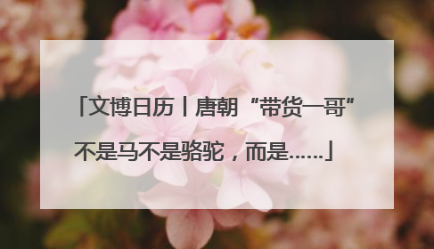 文博日历丨唐朝“带货一哥”不是马不是骆驼，而是……