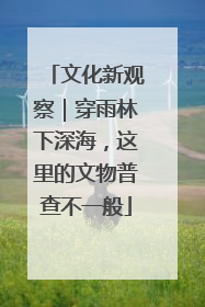 文化新观察｜穿雨林下深海，这里的文物普查不一般