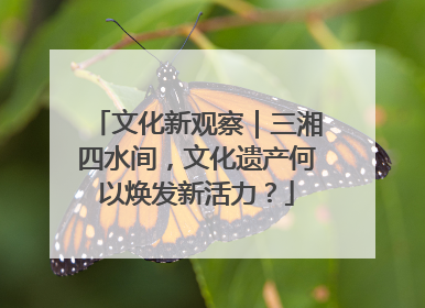 文化新观察｜三湘四水间，文化遗产何以焕发新活力？