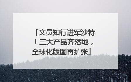 文员知行进军沙特！三大产品齐落地，全球化版图再扩张