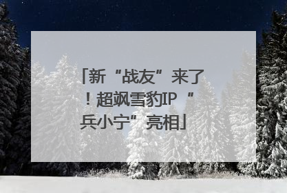 新“战友”来了！超飒雪豹IP“兵小宁”亮相