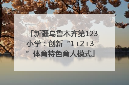 新疆乌鲁木齐第123小学：创新“1+2+3”体育特色育人模式