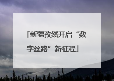 新疆孜然开启“数字丝路”新征程