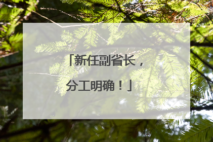 新任副省长，分工明确！