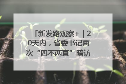 新发路观察+｜20天内，省委书记两次“四不两直”暗访，有何深意？