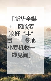 新华全媒+|风吹麦浪好“丰”景——多地小麦机收一线见闻