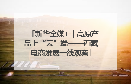 新华全媒+｜高原产品上“云”端——西藏电商发展一线观察
