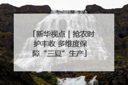 新华视点｜抢农时 护丰收 多维度保障“三夏”生产