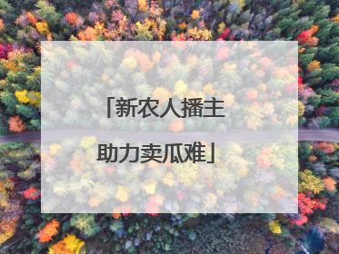 新农人播主 助力卖瓜难