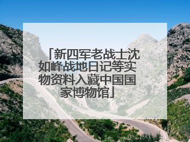 新四军老战士沈如峰战地日记等实物资料入藏中国国家博物馆