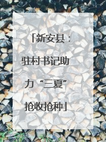 新安县：驻村书记助力“三夏”抢收抢种