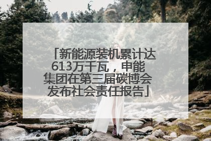 新能源装机累计达613万千瓦，申能集团在第三届碳博会发布社会责任报告