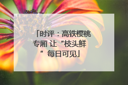 时评：高铁樱桃专厢 让“枝头鲜”每日可见
