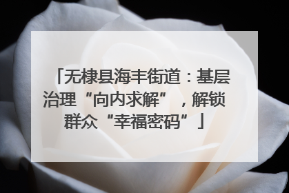 无棣县海丰街道：基层治理“向内求解”，解锁群众“幸福密码”