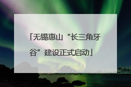 无锡惠山“长三角牙谷”建设正式启动