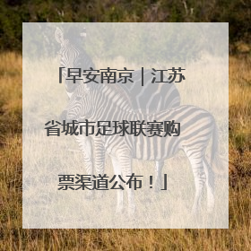 早安南京｜江苏省城市足球联赛购票渠道公布！
