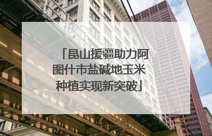 昆山援疆助力阿图什市盐碱地玉米种植实现新突破
