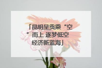 昆明呈贡乘“空”而上 逐梦低空经济新蓝海