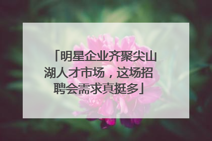 明星企业齐聚尖山湖人才市场，这场招聘会需求真挺多