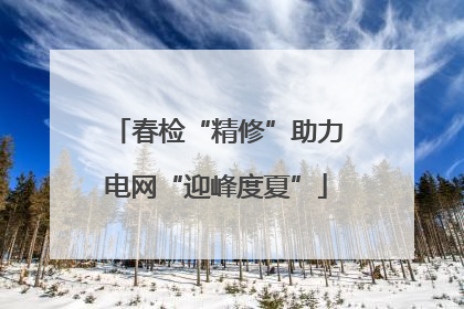 春检“精修”助力电网“迎峰度夏”