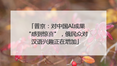 普京：对中国AI成果“感到惊喜”，俄民众对汉语兴趣正在增加