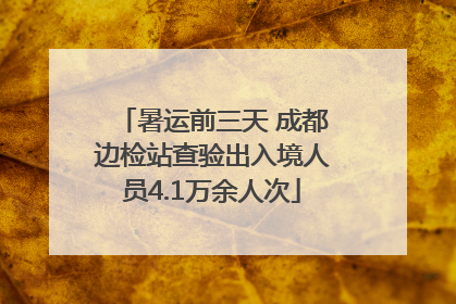 暑运前三天 成都边检站查验出入境人员4.1万余人次
