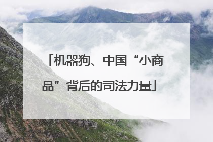 机器狗、中国“小商品”背后的司法力量