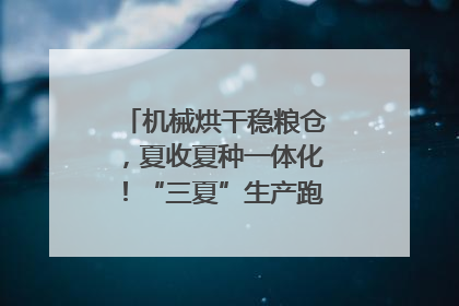 机械烘干稳粮仓，夏收夏种一体化！“三夏”生产跑出加速度｜麦报