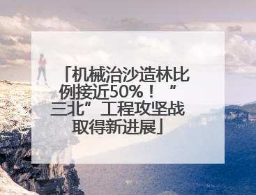 机械治沙造林比例接近50%！“三北”工程攻坚战取得新进展