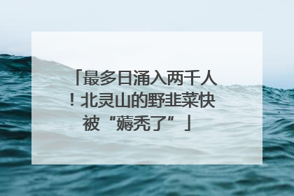 最多日涌入两千人！北灵山的野韭菜快被“薅秃了”